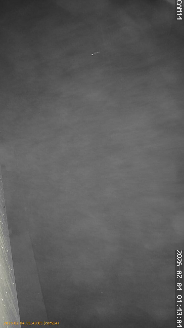 thumbnail_20260204014305