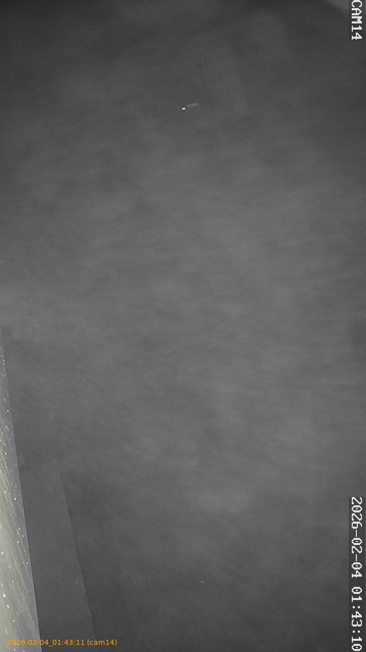 thumbnail_20260204014311