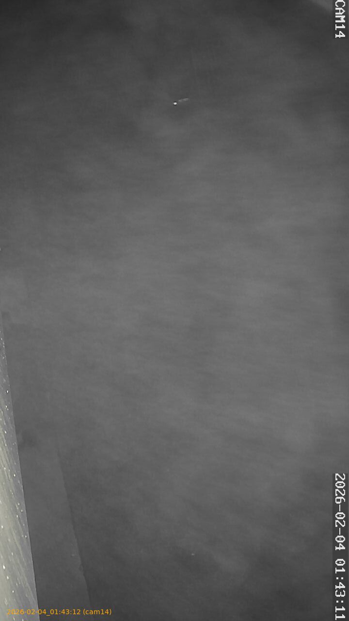 thumbnail_20260204014312