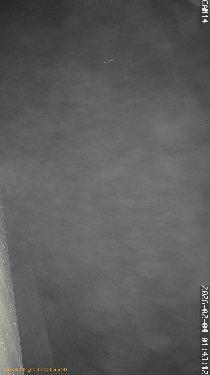 thumbnail_20260204014313