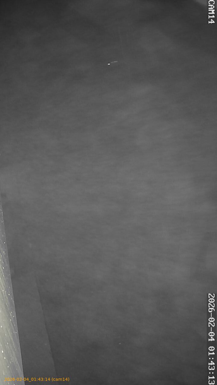 thumbnail_20260204014314