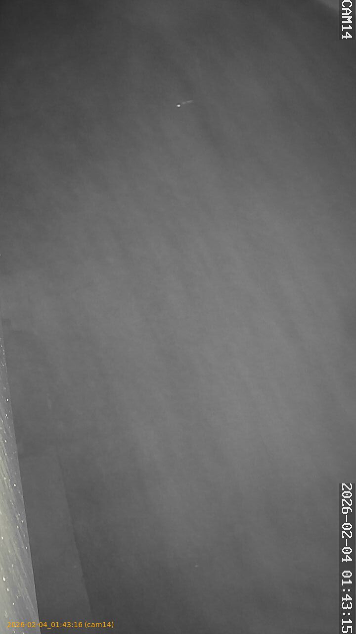 thumbnail_20260204014316