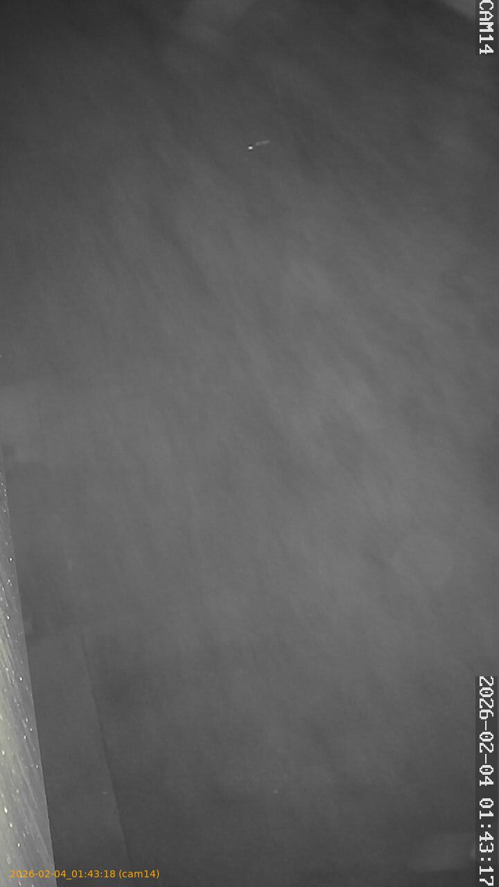 thumbnail_20260204014318