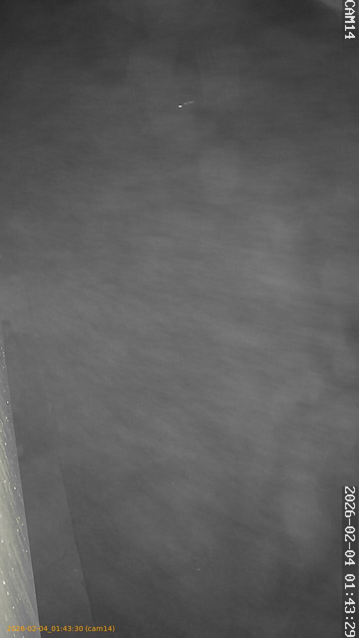 thumbnail_20260204014330