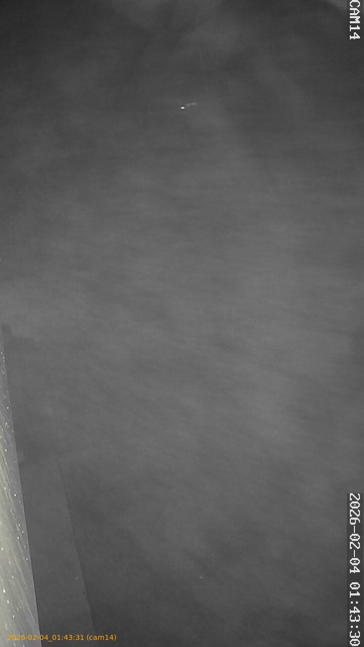 thumbnail_20260204014331