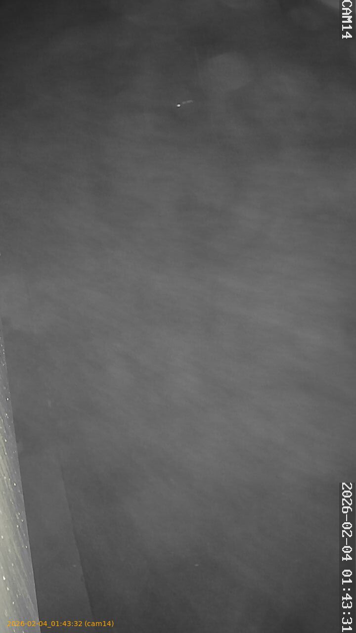 thumbnail_20260204014332