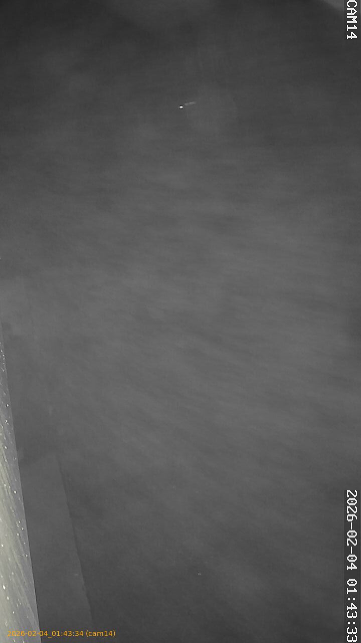 thumbnail_20260204014334