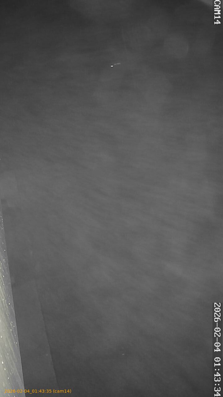 thumbnail_20260204014335