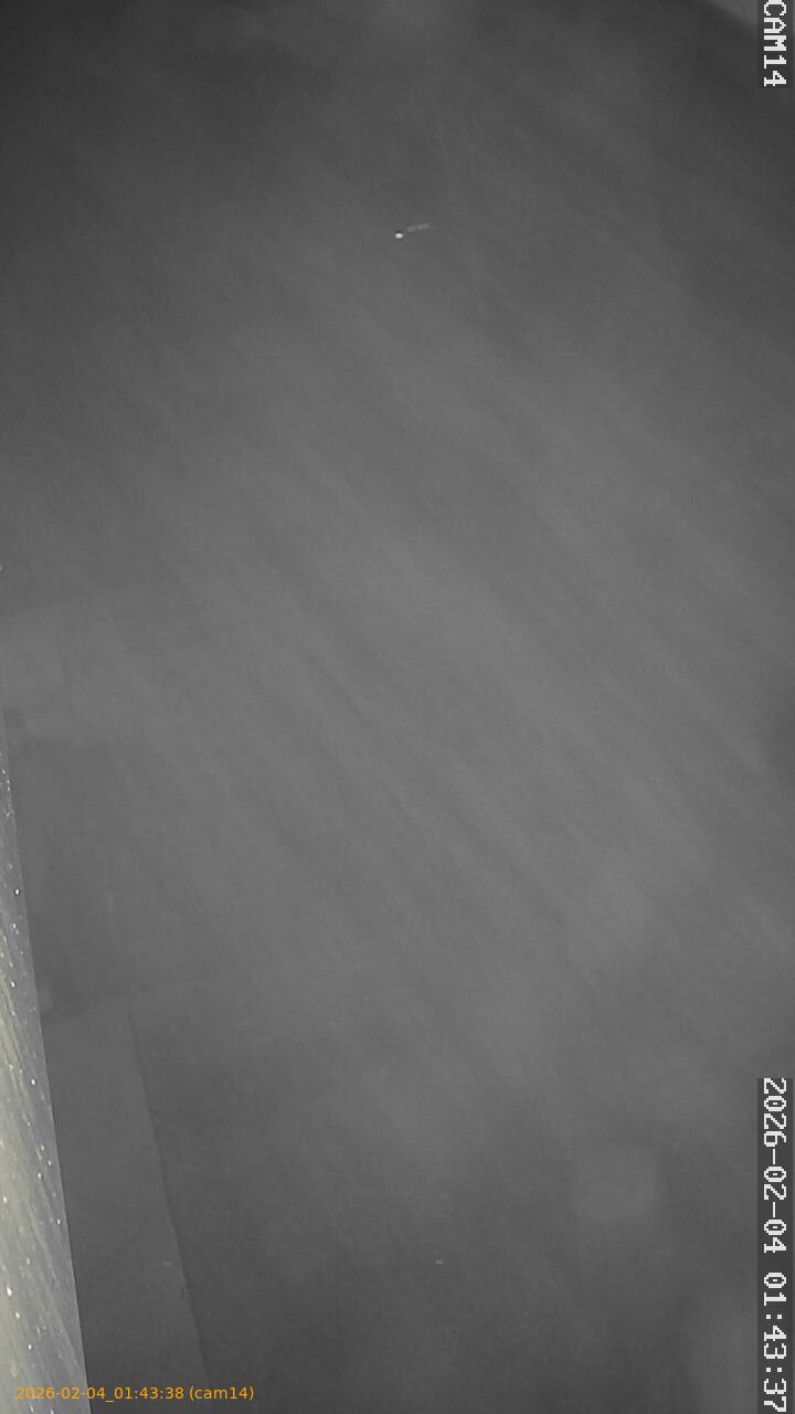 thumbnail_20260204014338