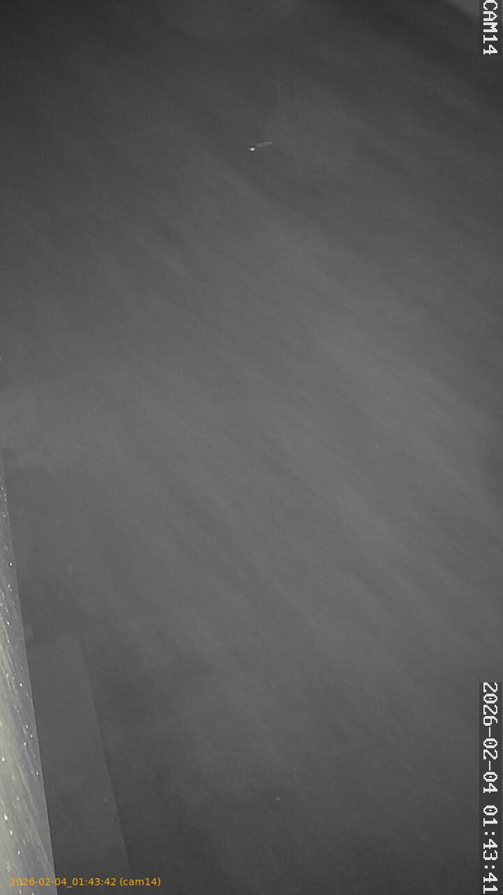 thumbnail_20260204014342