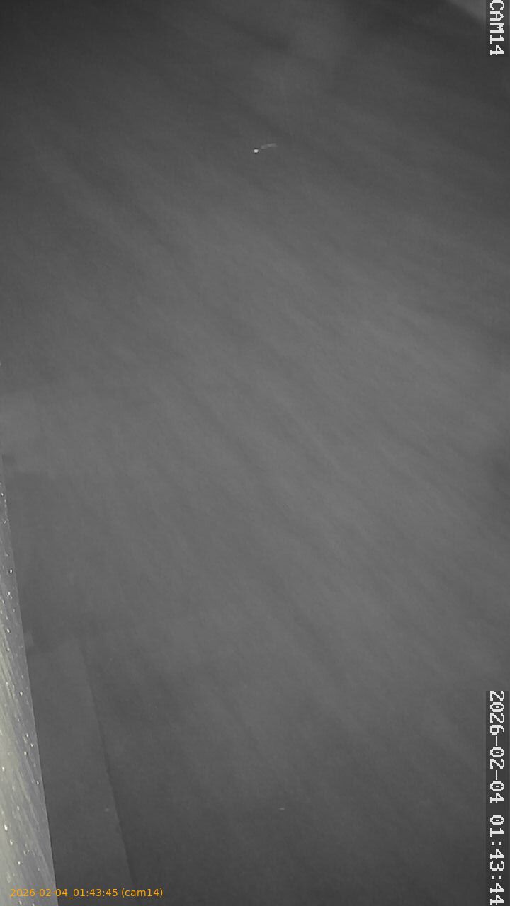 thumbnail_20260204014345