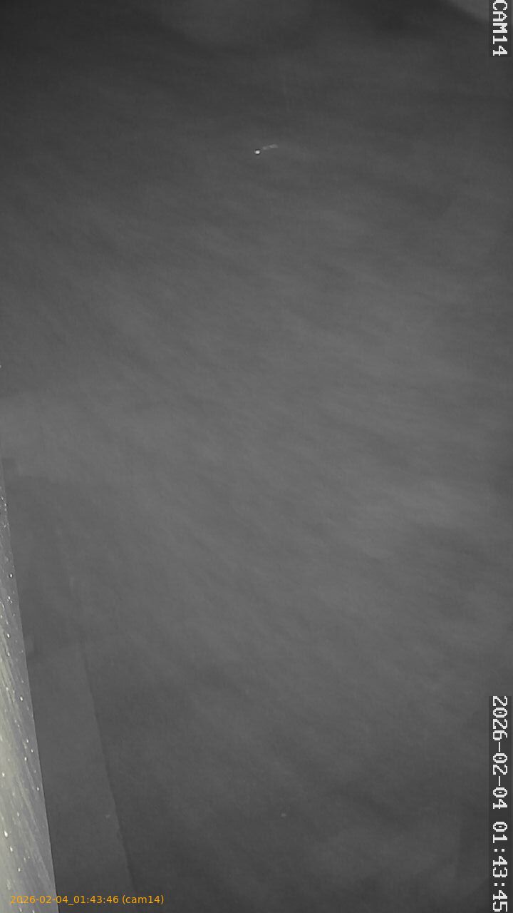 thumbnail_20260204014346