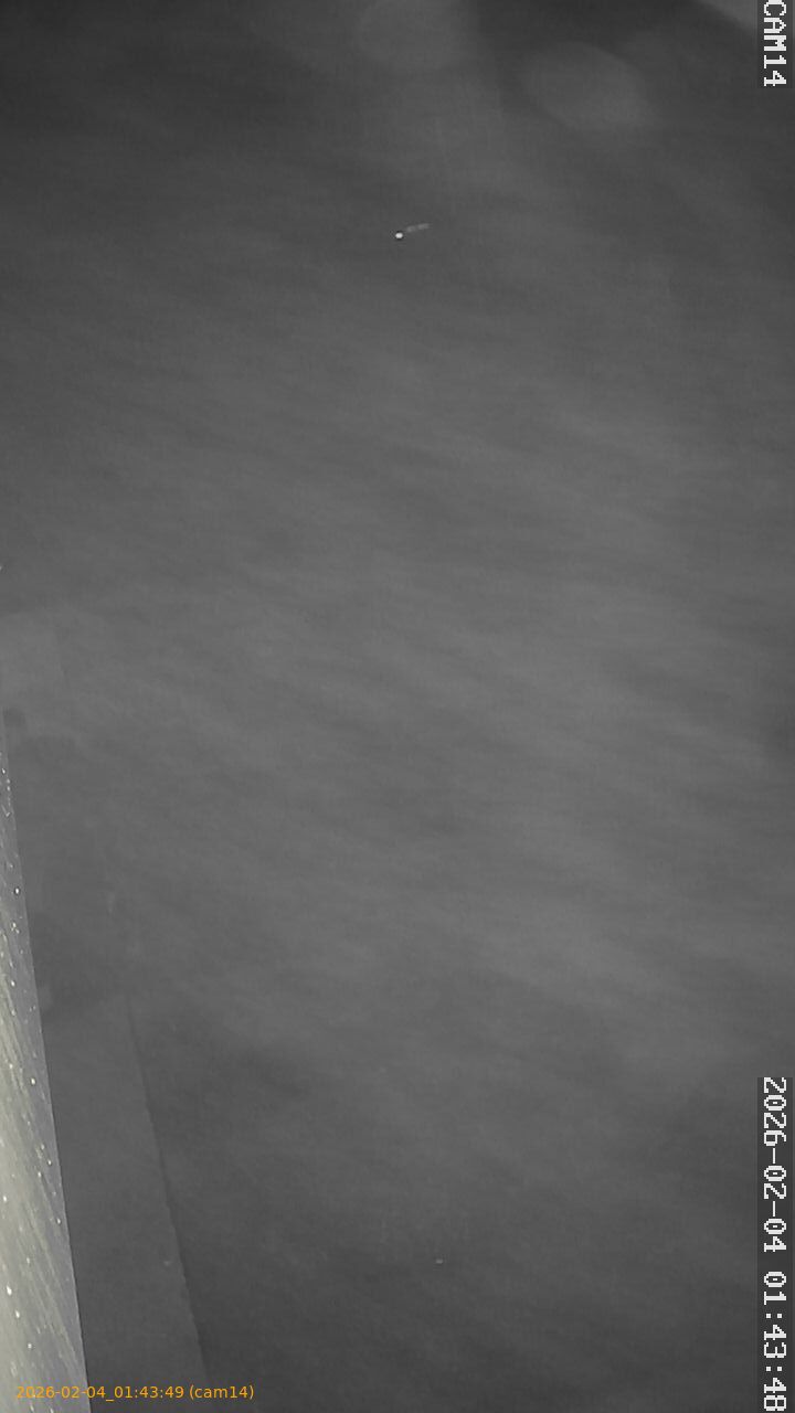 thumbnail_20260204014349