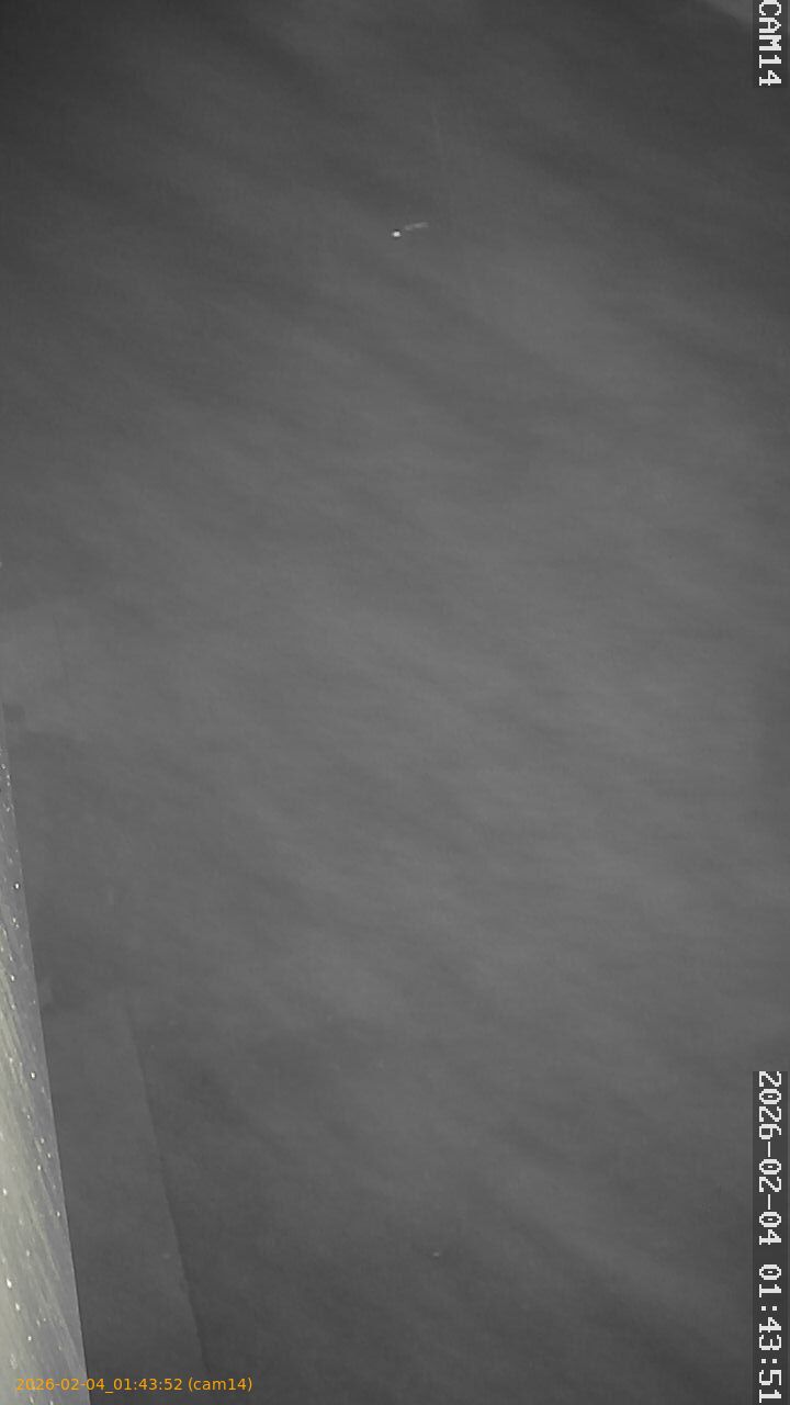 thumbnail_20260204014352