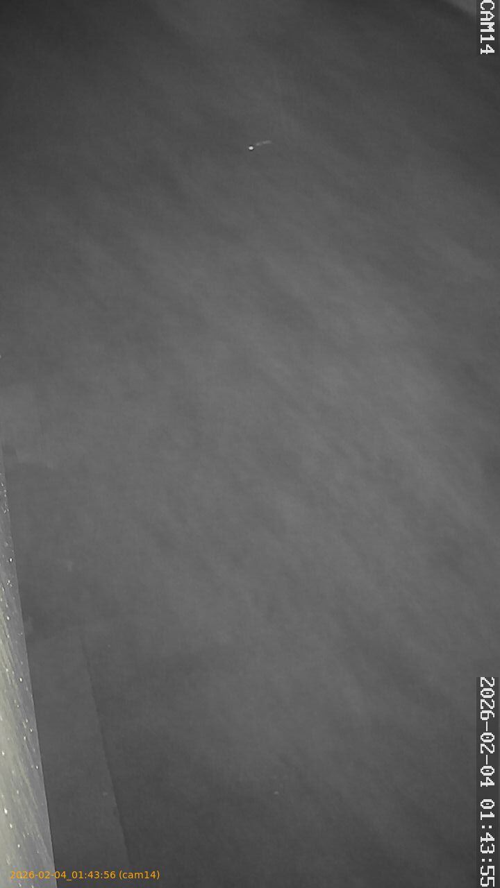 thumbnail_20260204014356