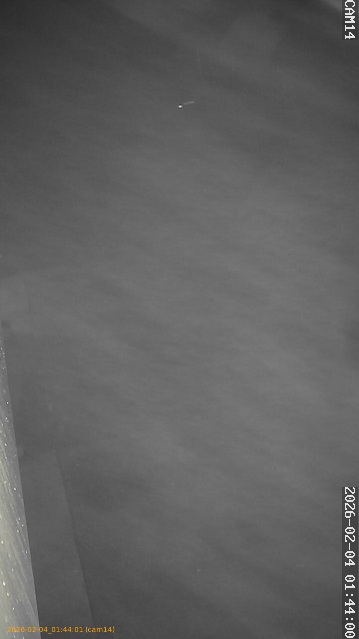 thumbnail_20260204014401