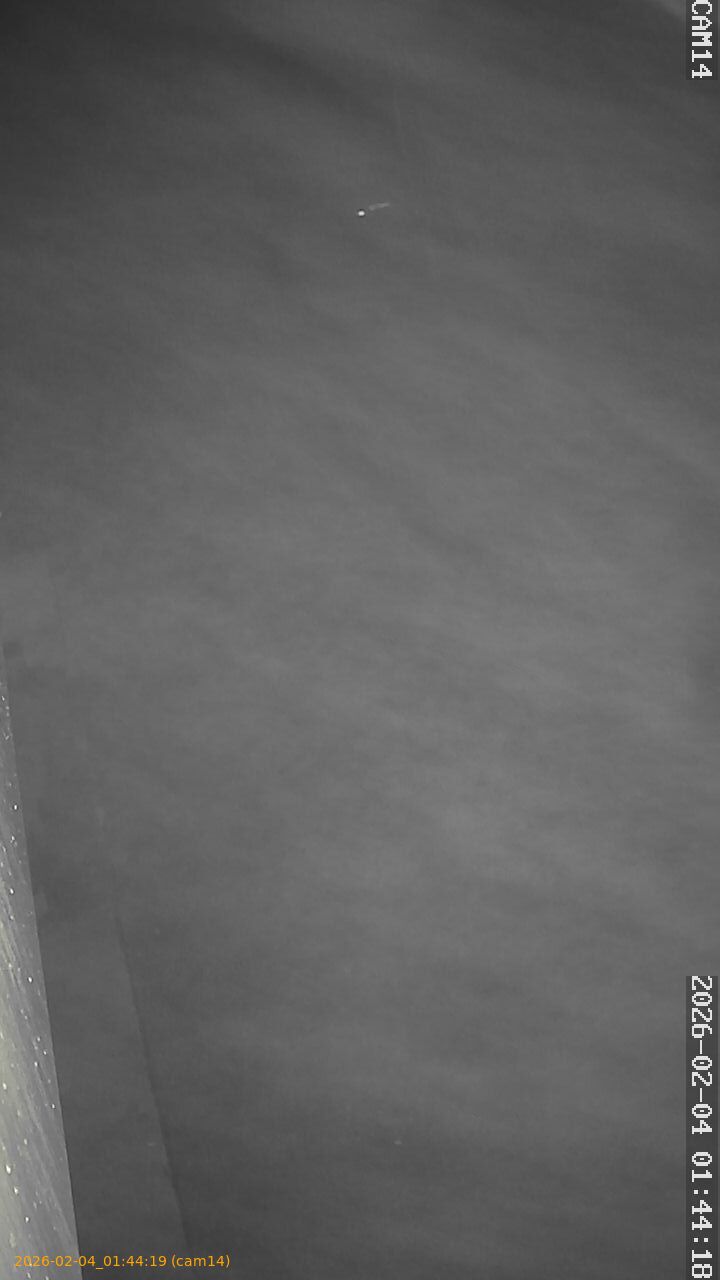 thumbnail_20260204014419