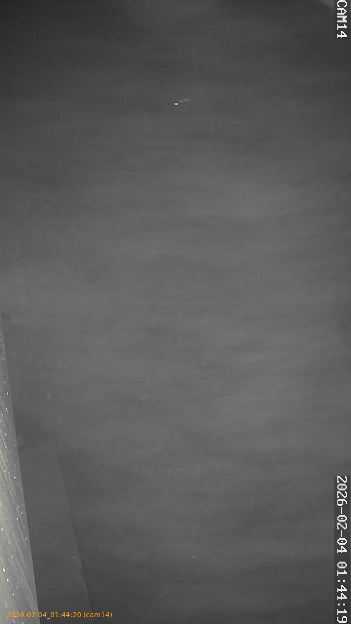 thumbnail_20260204014420