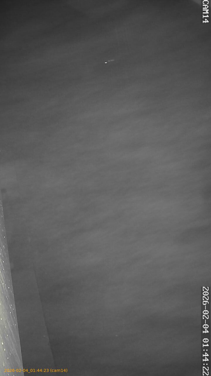 thumbnail_20260204014423