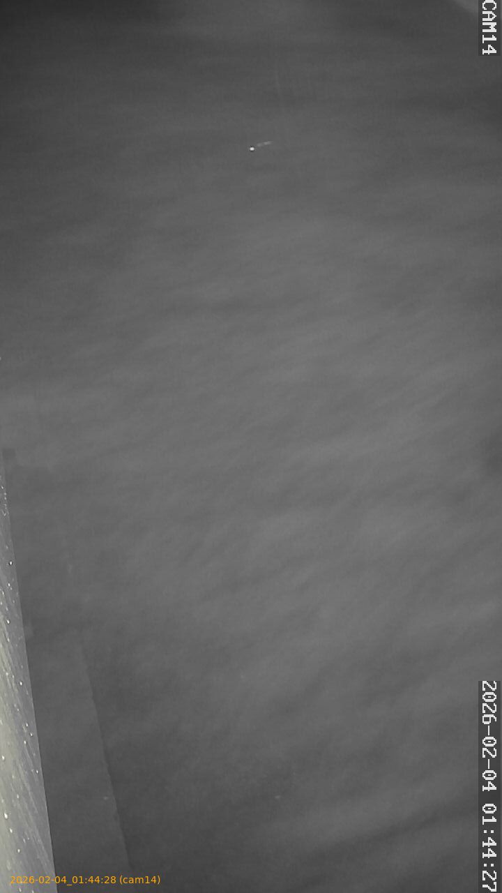 thumbnail_20260204014428