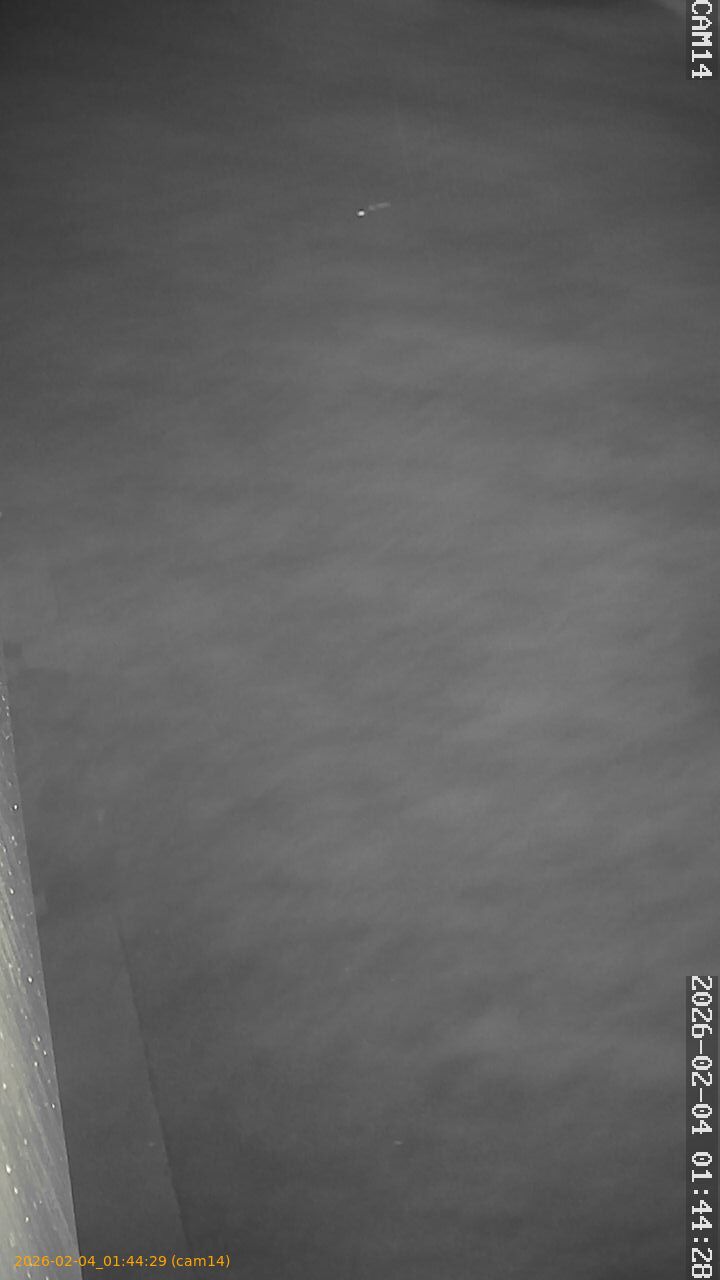 thumbnail_20260204014429