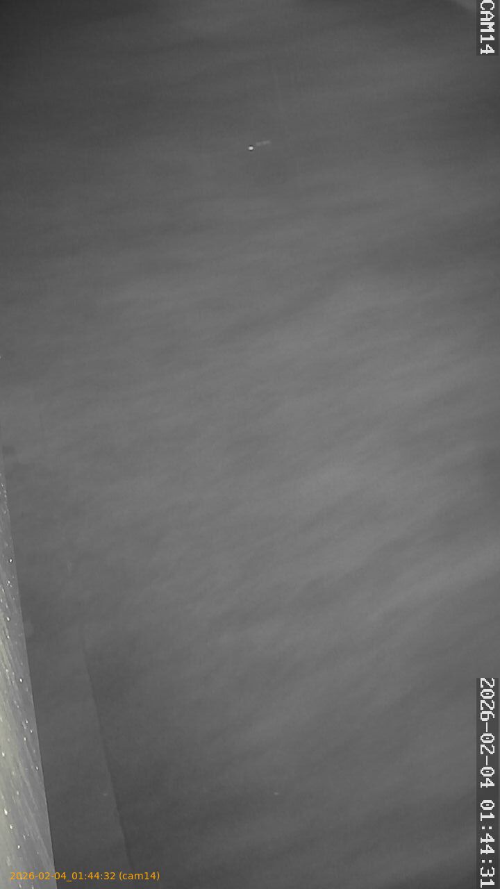 thumbnail_20260204014432