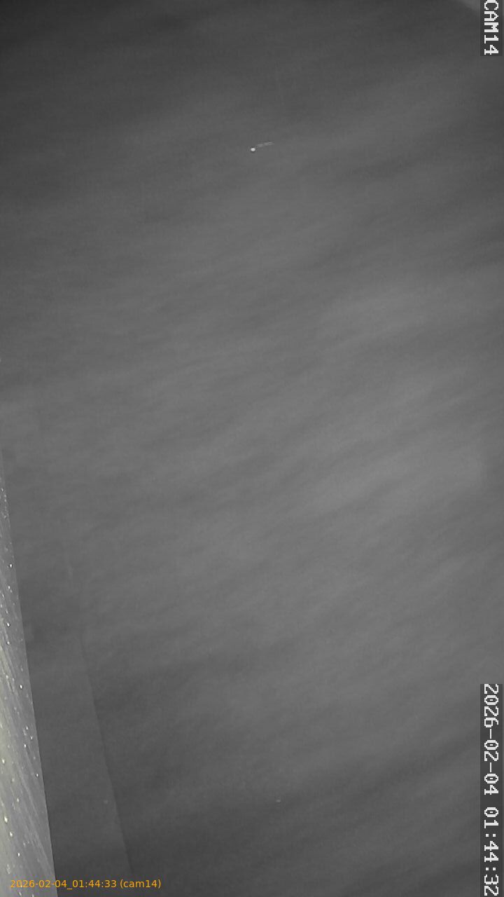 thumbnail_20260204014433