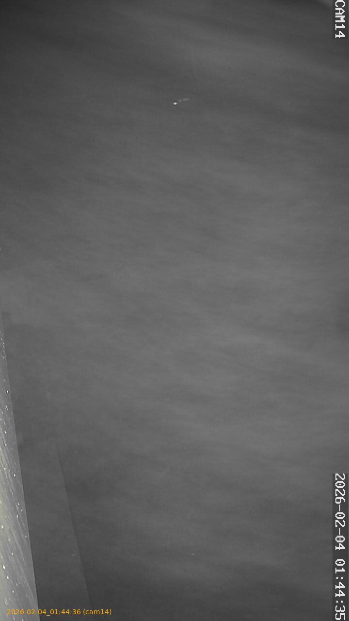 thumbnail_20260204014436