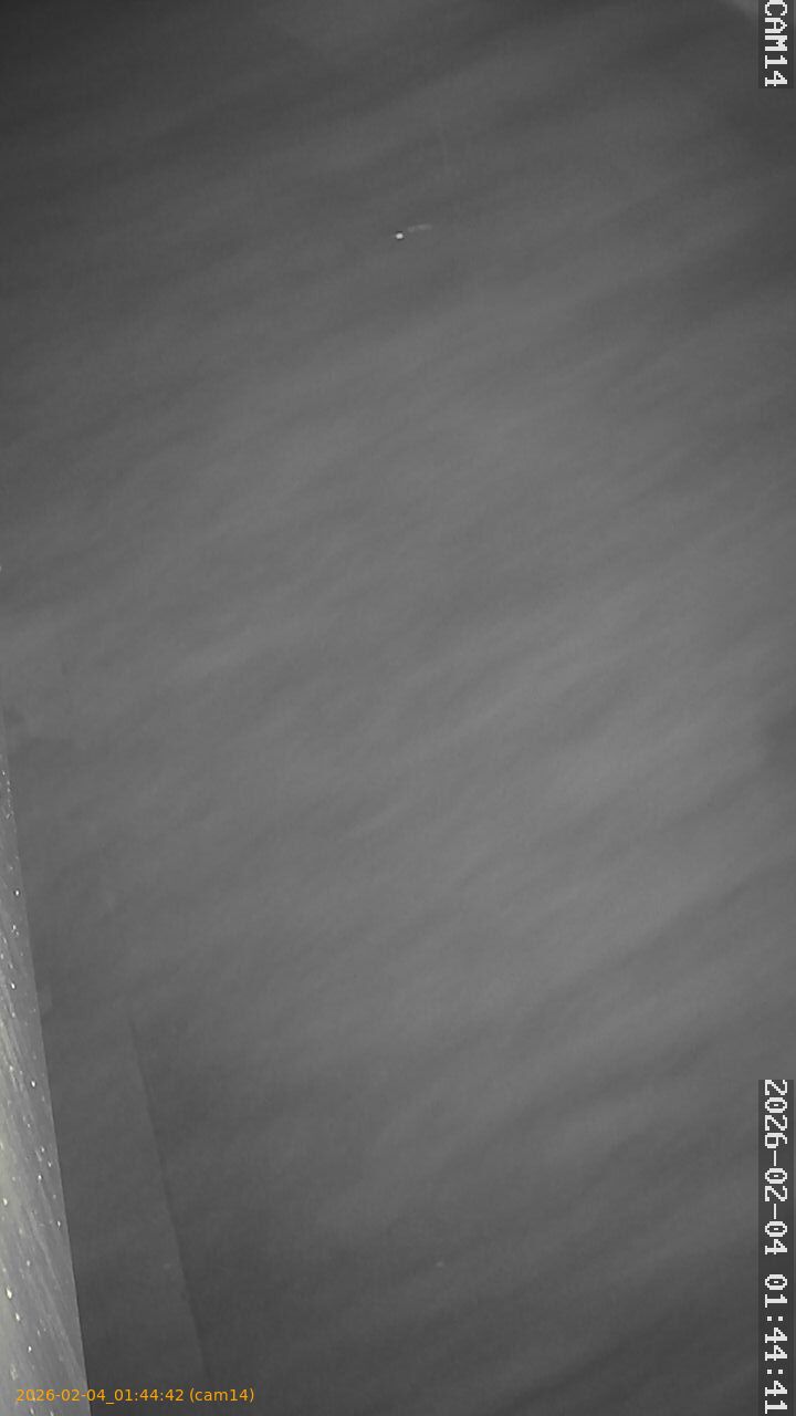 thumbnail_20260204014442