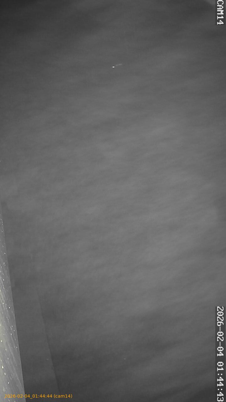 thumbnail_20260204014444