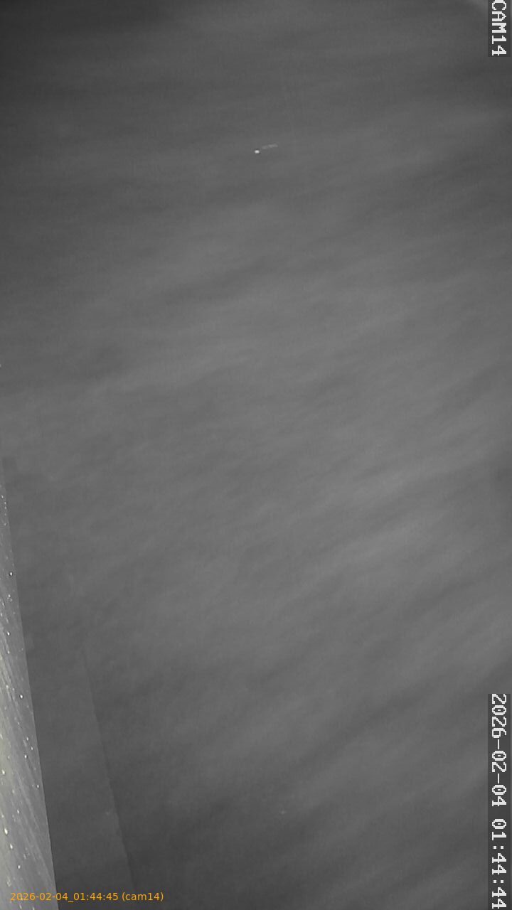 thumbnail_20260204014445