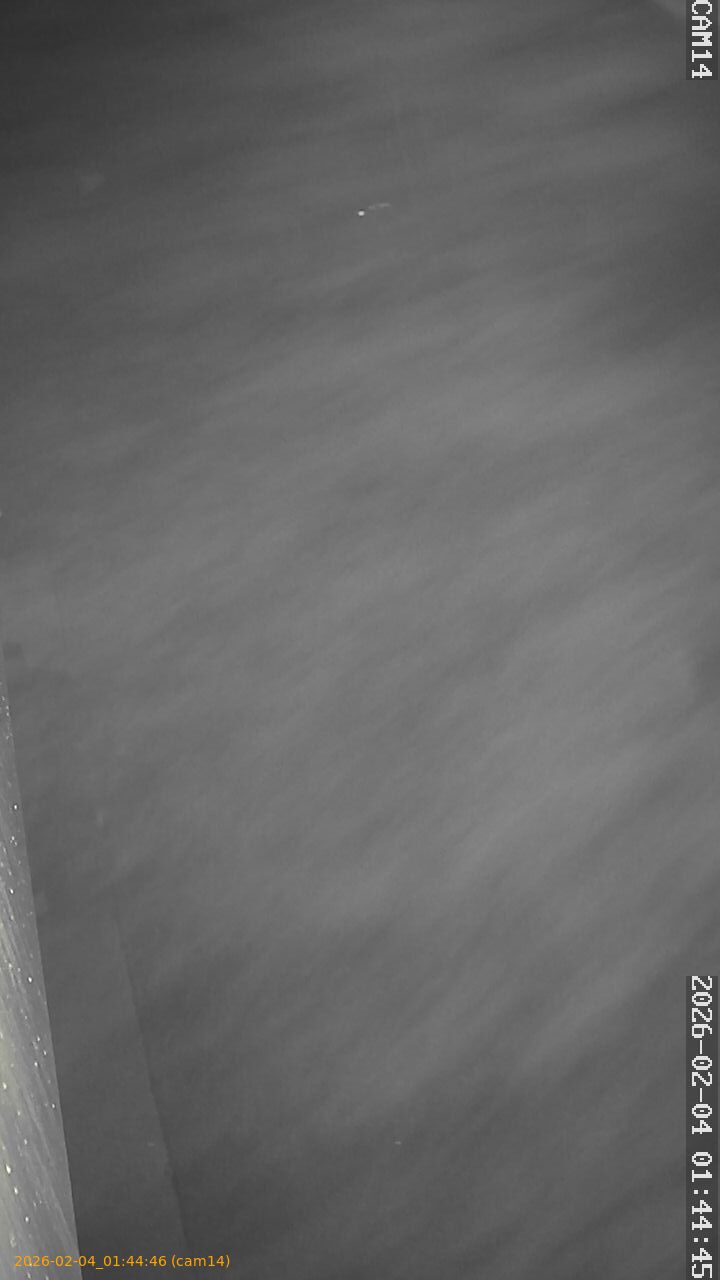 thumbnail_20260204014446