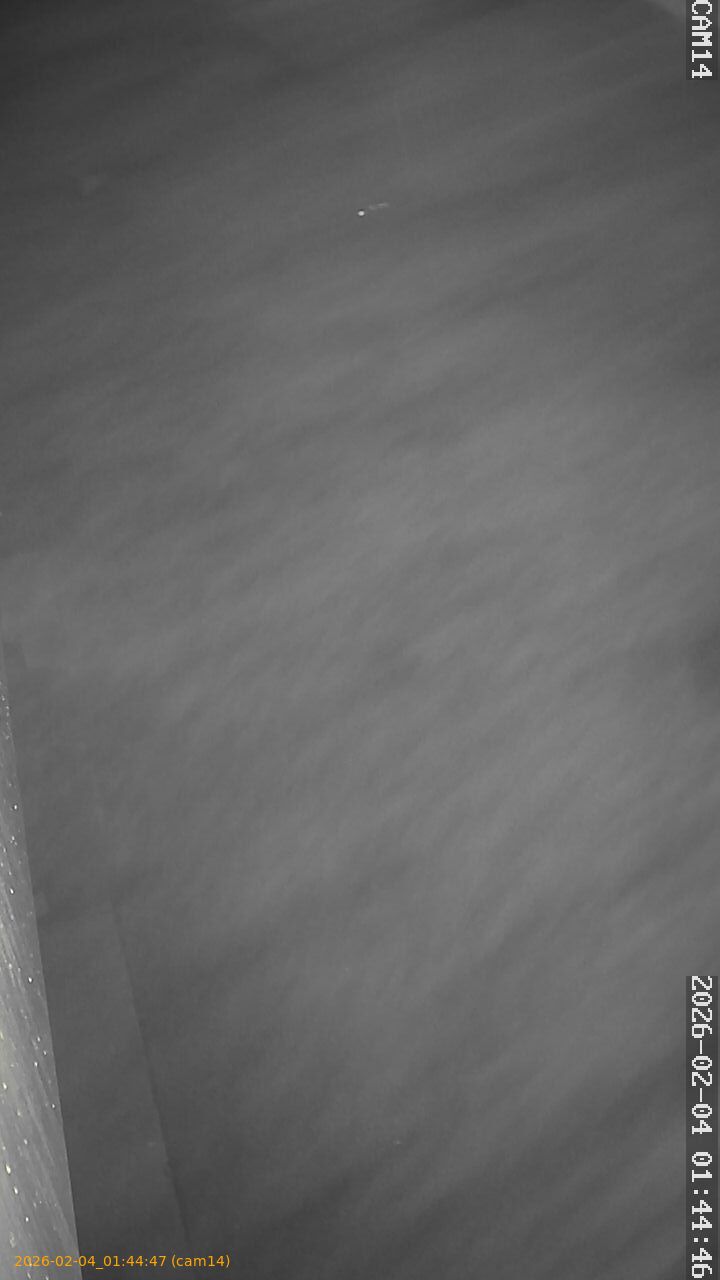 thumbnail_20260204014447