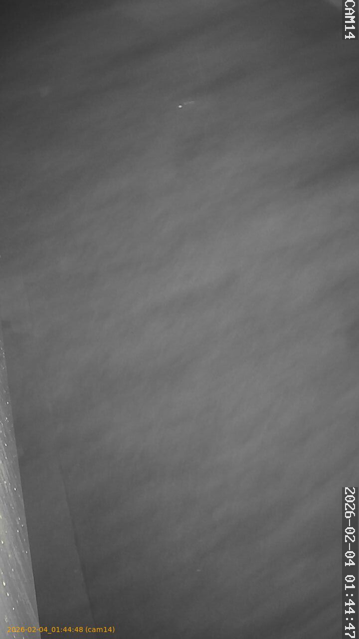 thumbnail_20260204014448