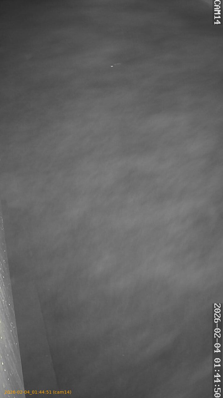 thumbnail_20260204014451