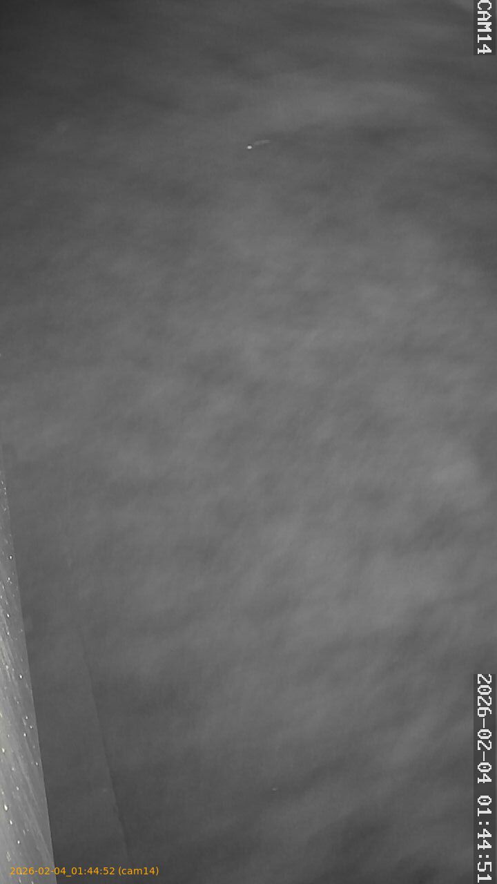 thumbnail_20260204014452