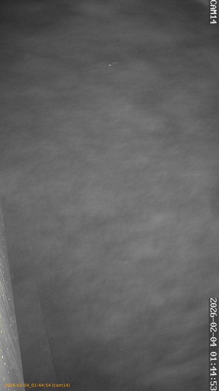 thumbnail_20260204014454