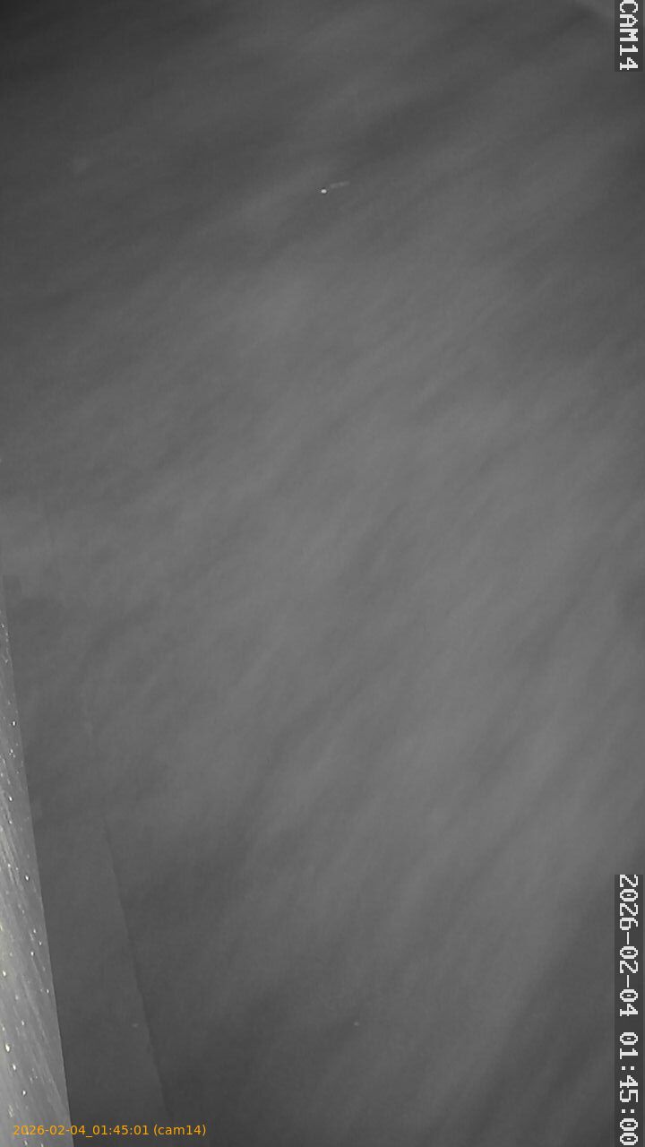 thumbnail_20260204014501