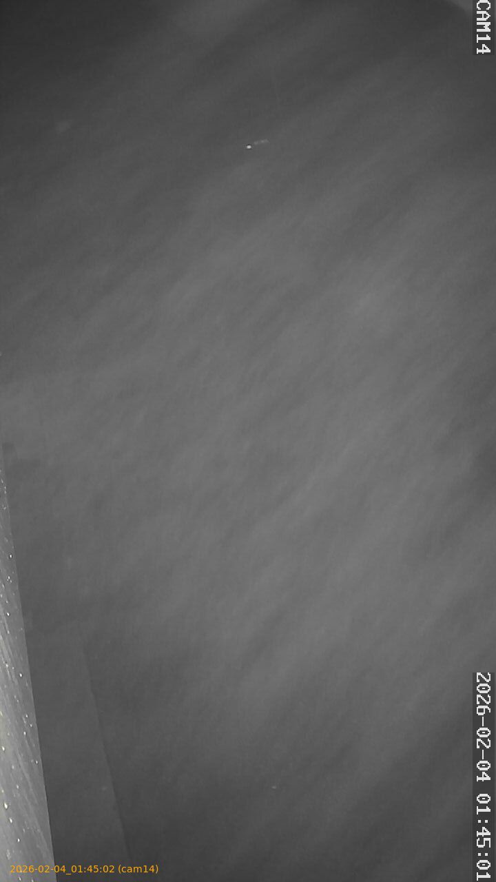 thumbnail_20260204014502