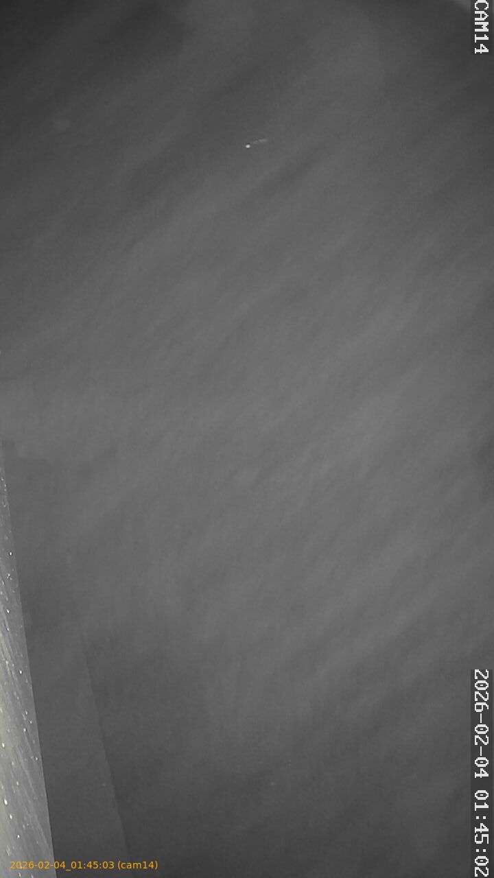 thumbnail_20260204014503