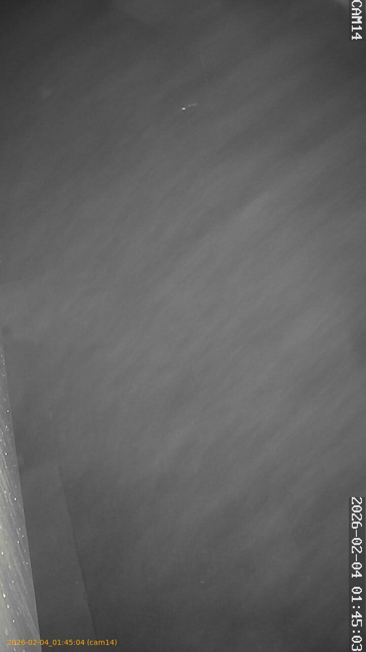 thumbnail_20260204014504