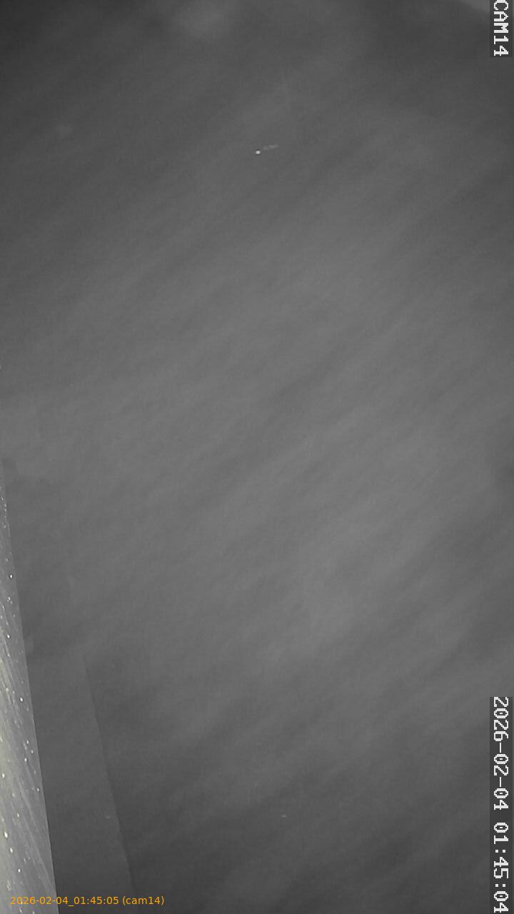 thumbnail_20260204014505