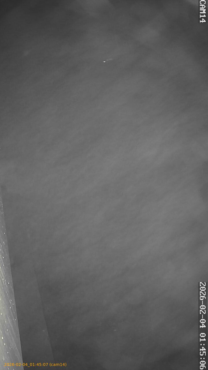 thumbnail_20260204014507