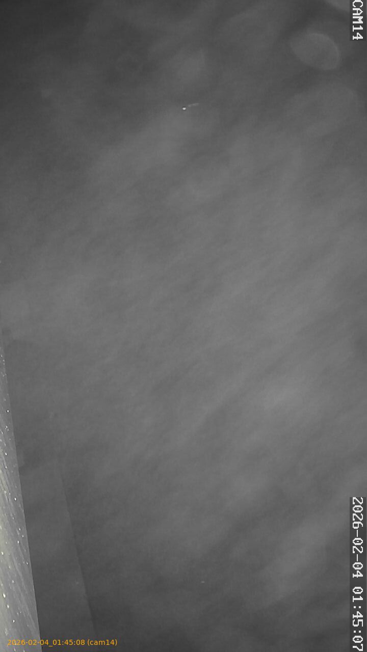 thumbnail_20260204014508