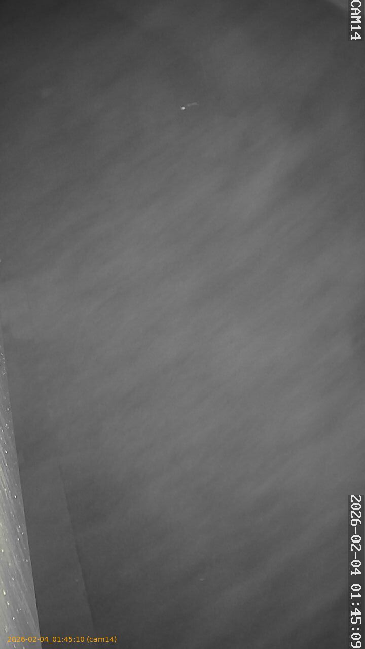 thumbnail_20260204014510