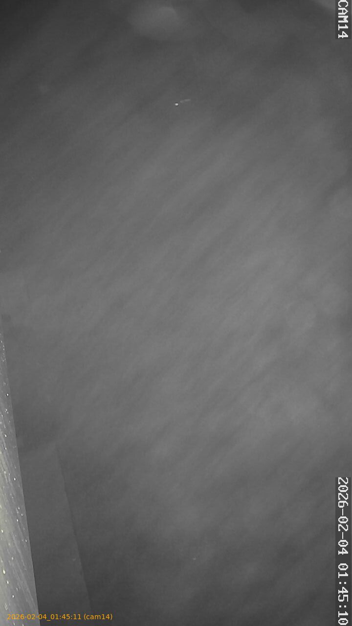 thumbnail_20260204014511