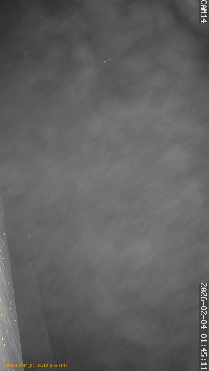 thumbnail_20260204014512