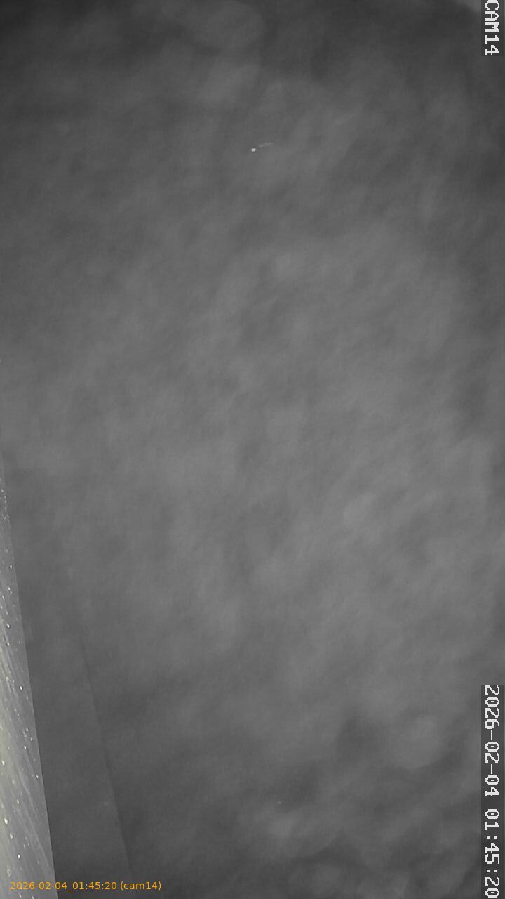 thumbnail_20260204014520