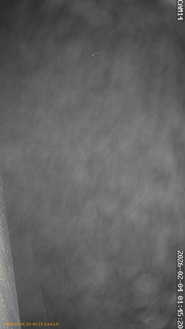 thumbnail_20260204014521