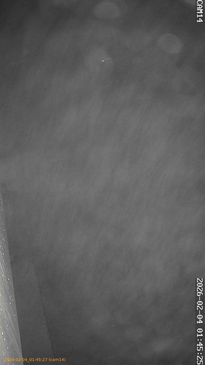 thumbnail_20260204014526